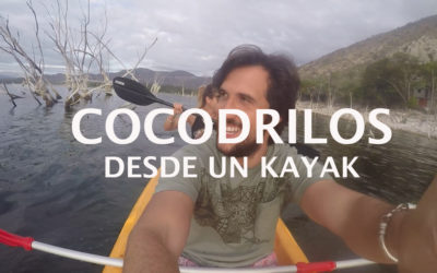 [VIDEO]Hacer Kayak con Cocodrilos en el Lago Enriquillo