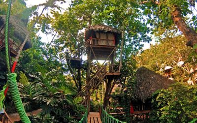 Dominican Tree House Village: Un oasis en el medio de la selva de Samaná