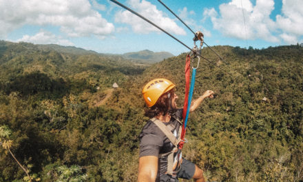 Excursión Zip Line de Samaná(Dominican Tree House & Alrededores)