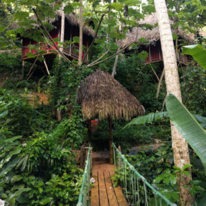 dominican treehouse village