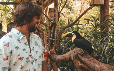 Excursión a Costa Rica – 5 días y 4 noches desde Santo Domingo 31 de Mayo al 4 de Junio 2018