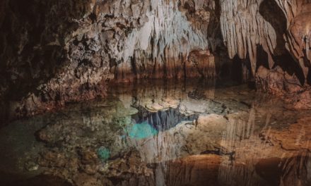 Las Cuevas de Cabarete & Alrededores: Un Recorrido Poco Explorado por el Norte de RD