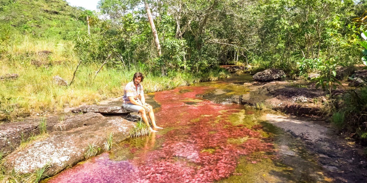 Excursión a Caño Cristales: El Río de los 7 Colores más Hermoso del Mundo – 31 de Octubre al 4 de Noviembre 2019