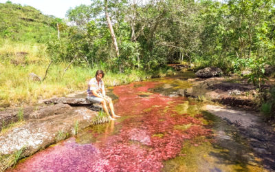 Excursión a Caño Cristales: El Río de los 7 Colores más Hermoso del Mundo – 31 de Octubre al 4 de Noviembre 2019