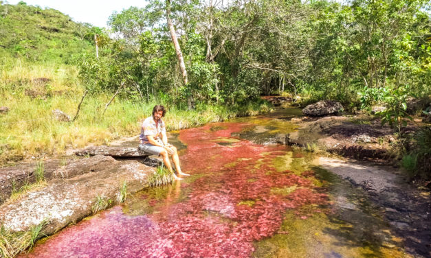 Excursión a Caño Cristales: El Río de los 7 Colores más Hermoso del Mundo – 31 de Octubre al 4 de Noviembre 2019