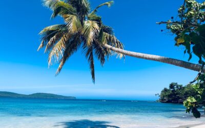 Excursión 7 Playas de Samaná desde Santo Domingo