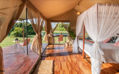Corocora Wildlife Camp: Un Hotel Rodeado de Animales en Colombia