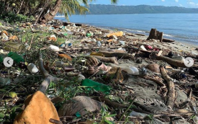 British Vogue Publica Foto de Playa Contaminada de RD y Causa Furor en las Redes