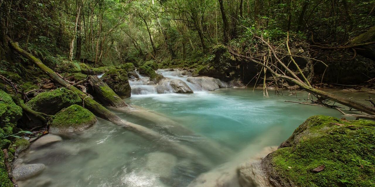 Rio el Mulito en Pedernales: El Río Cristalino que pocos Conocen