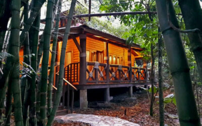Platon Ecolodge: Turismo Eco-Aventura en la Selva Dominicana