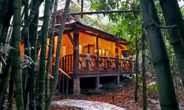 Platon Ecolodge: Turismo Eco-Aventura en la Selva Dominicana