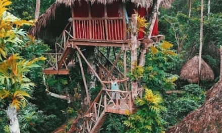 Dominican Tree House Village en Samaná: Dormir sobre los árboles