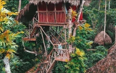 Dominican Tree House Village en Samaná: Dormir sobre los árboles