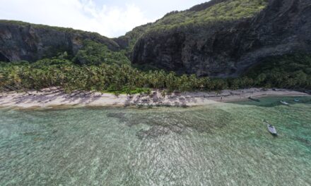 Excursión en Bote a Playa Fronton y Playa Madama en Samaná