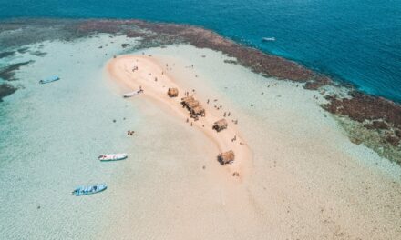 Excursión a Cayo Arena desde Santo Domingo