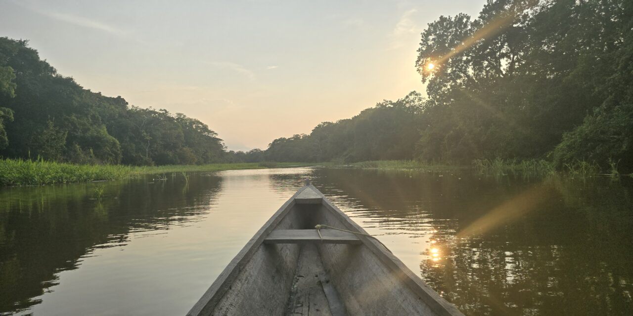 Excursión a la Selva Amazónica desde Leticia, Colombia