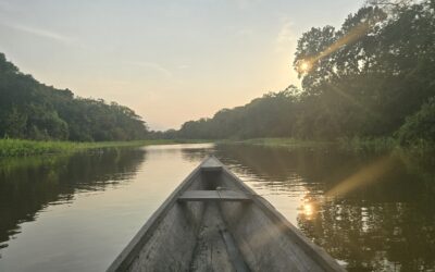 Excursión a la Selva Amazónica desde Leticia, Colombia