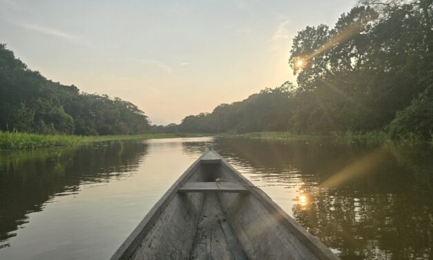 Excursión a la Selva Amazónica desde Leticia, Colombia